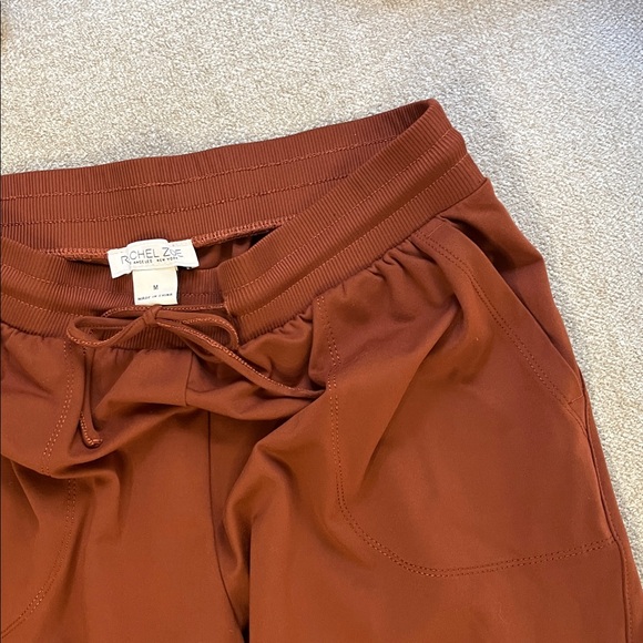 Rachel Zoe Rust Versatile Pants - Picture 3 of 9